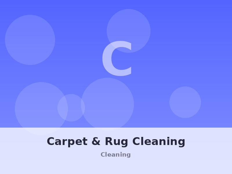 Carpet & Rug Cleaning